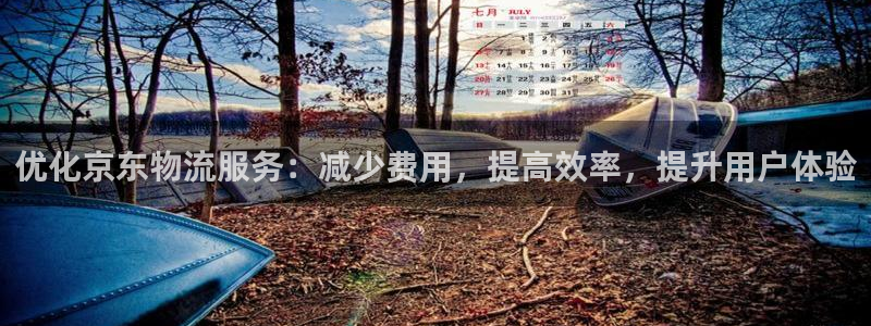 多多28注册网址：优化京东物流服务：