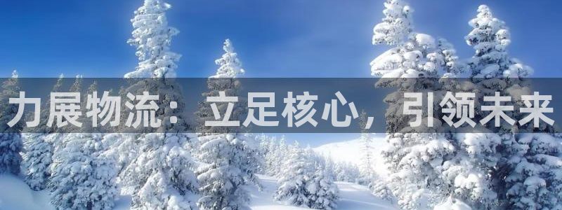 多多28自行车图片：力展物流：立足核