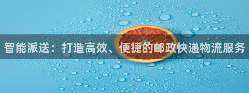 多多28平台注册：智能派送：打造高效