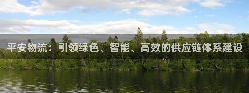 多多28充值不处理怎么办：平安物流：