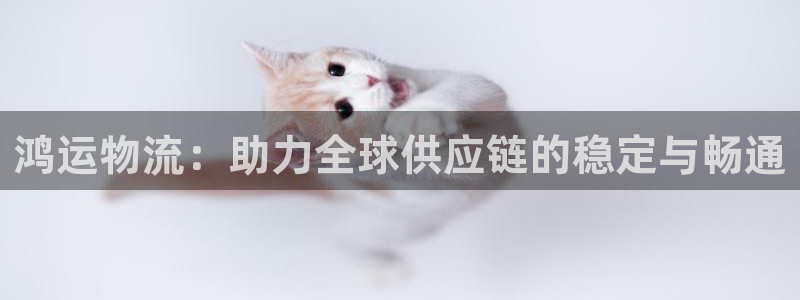 多多28官网开奖结果预测查询：鸿运物