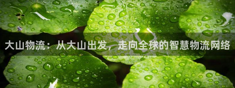 多多28官网下载链接是什么网站：大山