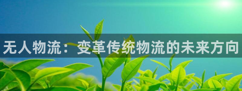 多多28官方版正版：无人物流：变革传