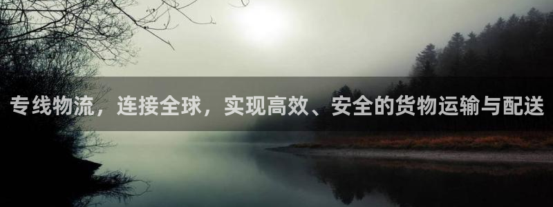 多多28官网下载多少钱：专线物流，连