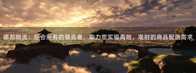 多多28官方平台：德邦物流：综合服务