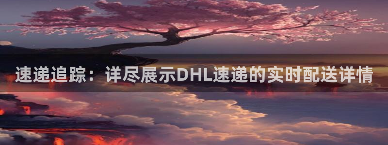 多多28充值为什么充不了