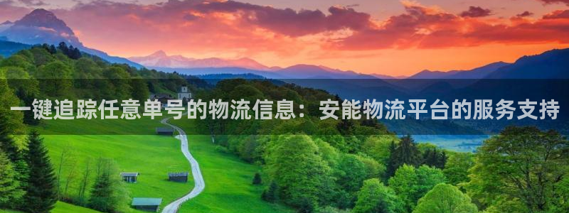 多多28怎么注册游戏名字：一键追踪任