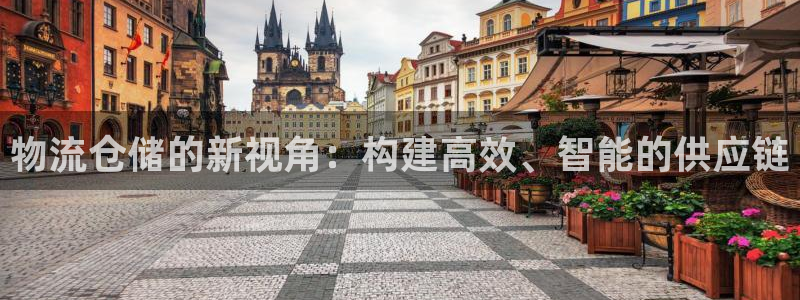 多多28登录：物流仓储的新视角：构建