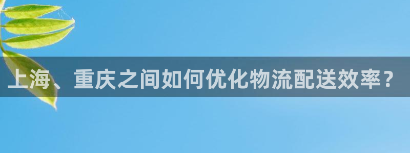 多多28黑钱：上海、重庆之间如何优化