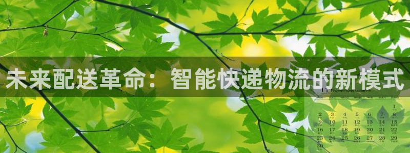 多多28怎么下载教程：未来配送革命：