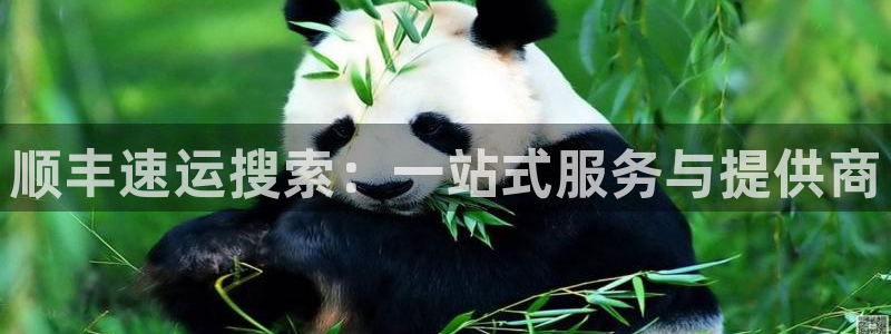 多多28APP是干什么的：顺丰速运搜