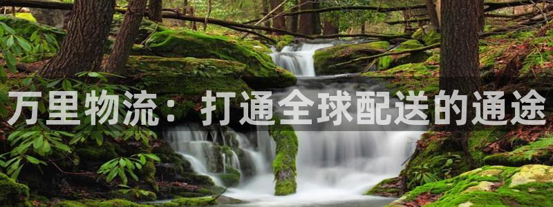 多多28推广链接是多少：万里物流：打
