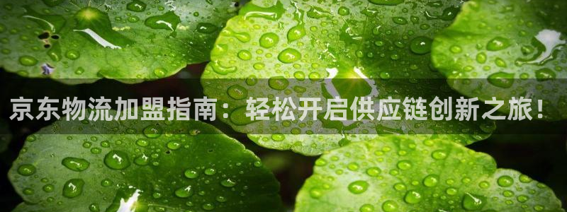 多多28登陆网：京东物流加盟指南：轻松开启供应链创新之旅！