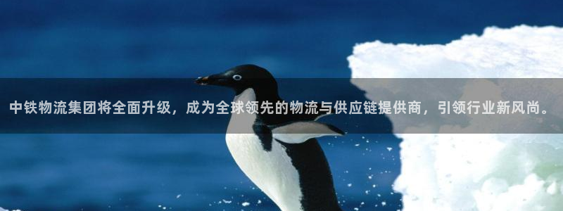 多多28加拿大pc预测：中铁物流集团