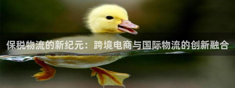 多多28怎么注册账号：保税物流的新纪