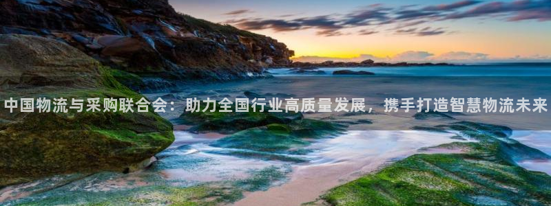 多多28官网下载多少钱：中国物流与采