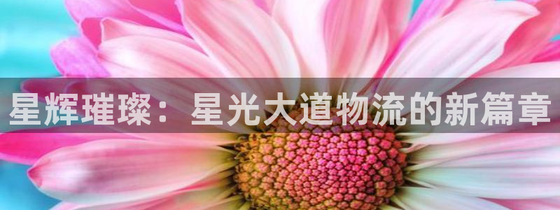多多28登录网：星辉璀璨：星光大道物