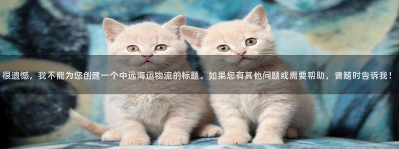 多多28网站平台：很遗憾，我不能为您