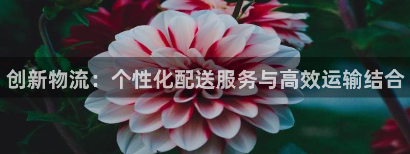 多多28客服一直不回消息怎么办：创新