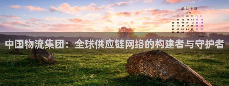 多多28：中国物流集团：全球供应链网