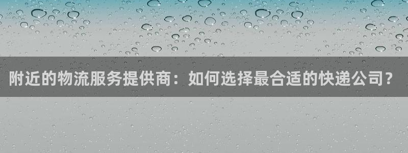 多多28绿骨头：附近的物流服务提供商：如何选择最合适的快递公