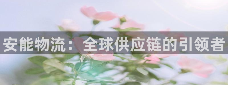 多多28登录网：安能物流：全球供应链