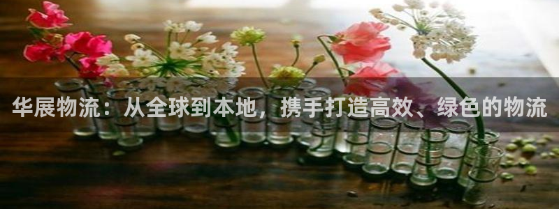 多多28怎么注册：华展物流：从全球到