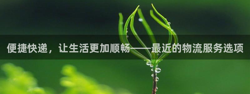 多多28稳吗：便捷快递，让生活更加顺