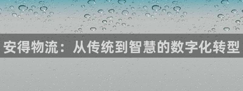 多多28注册网址：安得物流：从传统到智慧的数字化转型