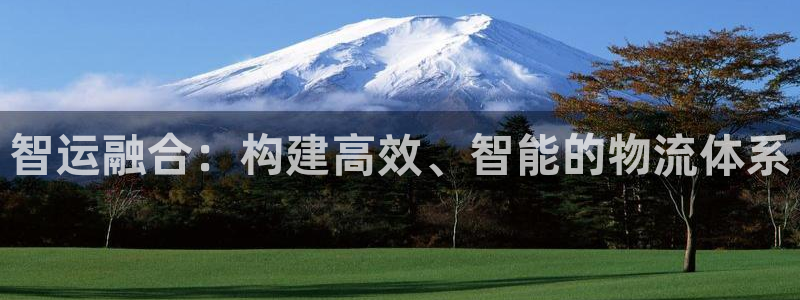 多多28是啥:智运融合:构建高效、智