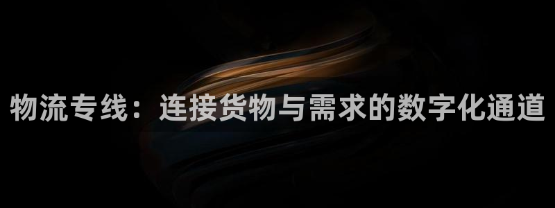 多多28ip被限制怎么解决:物流专线