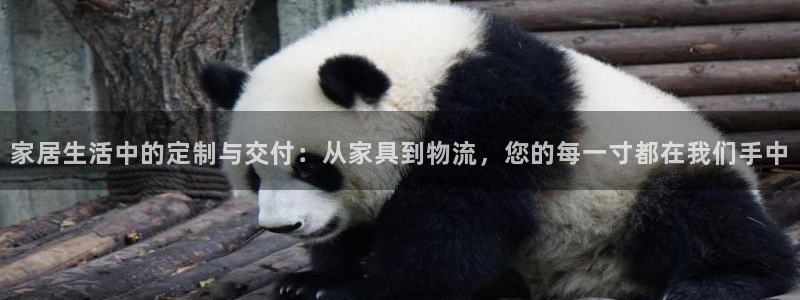 南宫多多28怎么注册:家居生活中的定