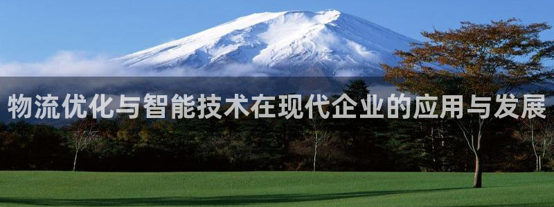 多多28官网入口正版:物流优化与智能