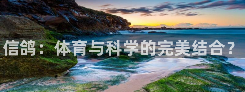球客岛