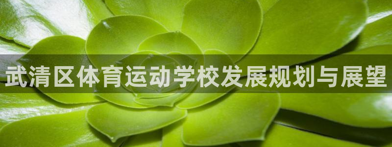 球客岛