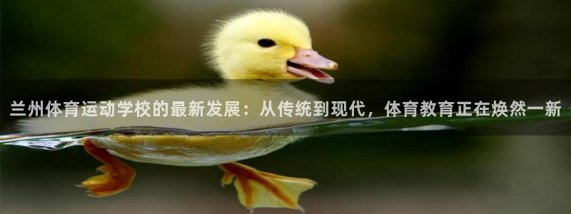 球客岛