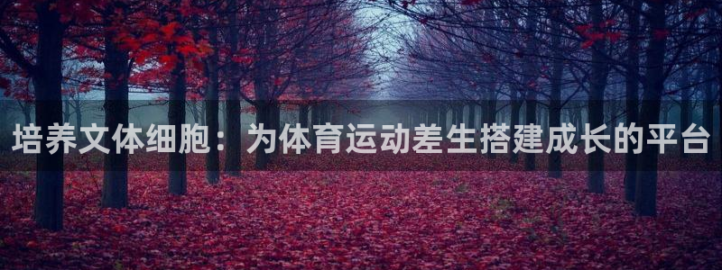 球客岛
