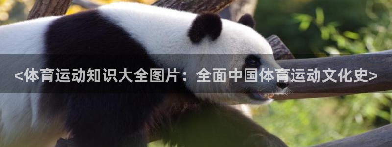 球客岛