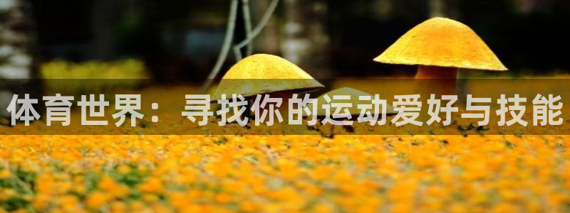 球客岛