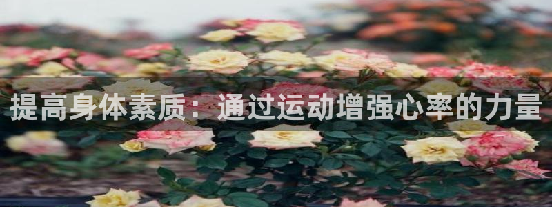球客岛