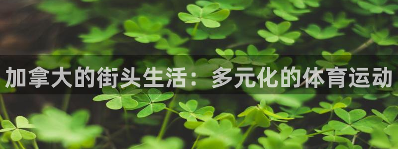 球客岛