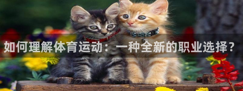 球客岛