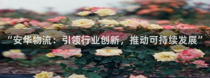 多多28反水怎么算：“安华物流：引领