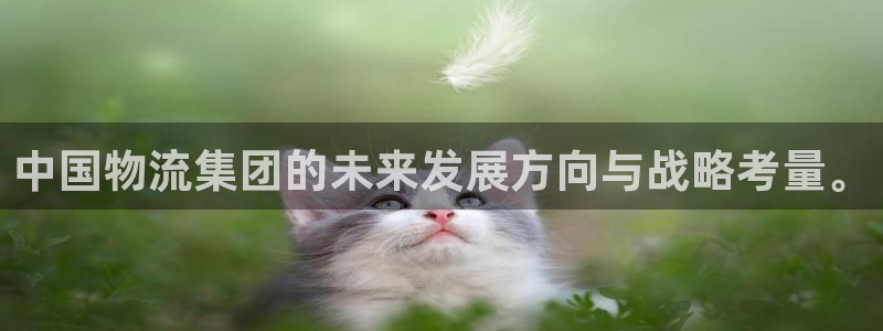 多多28官网入口正版