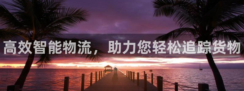 多多28pg如何退钱：高效智能物流，