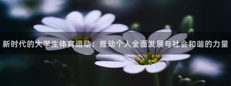 球客岛