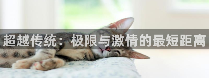 球客岛